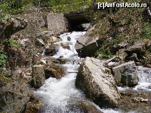 [P10] Unul din paraiele care alimenteaza lacul Vidraru.  » foto by liviu49
 - 
<span class="allrVoted glyphicon glyphicon-heart hidden" id="av679084"></span>
<a class="m-l-10 hidden" id="sv679084" onclick="voting_Foto_DelVot(,679084,1790)" role="button">șterge vot <span class="glyphicon glyphicon-remove"></span></a>
<a id="v9679084" class=" c-red"  onclick="voting_Foto_SetVot(679084)" role="button"><span class="glyphicon glyphicon-heart-empty"></span> <b>LIKE</b> = Votează poza</a> <img class="hidden"  id="f679084W9" src="/imagini/loader.gif" border="0" /><span class="AjErrMes hidden" id="e679084ErM"></span>