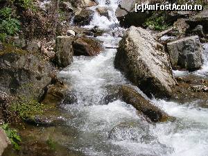 [P11] Paraul neastamparat care se grabeste spre lac.  » foto by liviu49
 - 
<span class="allrVoted glyphicon glyphicon-heart hidden" id="av679085"></span>
<a class="m-l-10 hidden" id="sv679085" onclick="voting_Foto_DelVot(,679085,1790)" role="button">șterge vot <span class="glyphicon glyphicon-remove"></span></a>
<a id="v9679085" class=" c-red"  onclick="voting_Foto_SetVot(679085)" role="button"><span class="glyphicon glyphicon-heart-empty"></span> <b>LIKE</b> = Votează poza</a> <img class="hidden"  id="f679085W9" src="/imagini/loader.gif" border="0" /><span class="AjErrMes hidden" id="e679085ErM"></span>