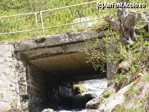 [P13] podetul care traverseaza paraul.  » foto by liviu49
 - 
<span class="allrVoted glyphicon glyphicon-heart hidden" id="av679087"></span>
<a class="m-l-10 hidden" id="sv679087" onclick="voting_Foto_DelVot(,679087,1790)" role="button">șterge vot <span class="glyphicon glyphicon-remove"></span></a>
<a id="v9679087" class=" c-red"  onclick="voting_Foto_SetVot(679087)" role="button"><span class="glyphicon glyphicon-heart-empty"></span> <b>LIKE</b> = Votează poza</a> <img class="hidden"  id="f679087W9" src="/imagini/loader.gif" border="0" /><span class="AjErrMes hidden" id="e679087ErM"></span>