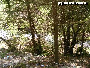 [P16] Peturile de pe malul raului ne-au trezit din visul cu Austria.  » foto by liviu49
 - 
<span class="allrVoted glyphicon glyphicon-heart hidden" id="av679090"></span>
<a class="m-l-10 hidden" id="sv679090" onclick="voting_Foto_DelVot(,679090,1790)" role="button">șterge vot <span class="glyphicon glyphicon-remove"></span></a>
<a id="v9679090" class=" c-red"  onclick="voting_Foto_SetVot(679090)" role="button"><span class="glyphicon glyphicon-heart-empty"></span> <b>LIKE</b> = Votează poza</a> <img class="hidden"  id="f679090W9" src="/imagini/loader.gif" border="0" /><span class="AjErrMes hidden" id="e679090ErM"></span>