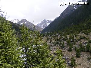 [P21] Culmile Fagarasului cu petice de zapada.  » foto by liviu49
 - 
<span class="allrVoted glyphicon glyphicon-heart hidden" id="av679099"></span>
<a class="m-l-10 hidden" id="sv679099" onclick="voting_Foto_DelVot(,679099,1790)" role="button">șterge vot <span class="glyphicon glyphicon-remove"></span></a>
<a id="v9679099" class=" c-red"  onclick="voting_Foto_SetVot(679099)" role="button"><span class="glyphicon glyphicon-heart-empty"></span> <b>LIKE</b> = Votează poza</a> <img class="hidden"  id="f679099W9" src="/imagini/loader.gif" border="0" /><span class="AjErrMes hidden" id="e679099ErM"></span>