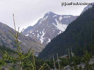 [P22] Un alt varf de munte, aceasi priveliste de inceput de primavara.  » foto by liviu49
 - 
<span class="allrVoted glyphicon glyphicon-heart hidden" id="av679102"></span>
<a class="m-l-10 hidden" id="sv679102" onclick="voting_Foto_DelVot(,679102,1790)" role="button">șterge vot <span class="glyphicon glyphicon-remove"></span></a>
<a id="v9679102" class=" c-red"  onclick="voting_Foto_SetVot(679102)" role="button"><span class="glyphicon glyphicon-heart-empty"></span> <b>LIKE</b> = Votează poza</a> <img class="hidden"  id="f679102W9" src="/imagini/loader.gif" border="0" /><span class="AjErrMes hidden" id="e679102ErM"></span>