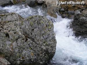 [P30] Raul tumultos.  » foto by liviu49
 - 
<span class="allrVoted glyphicon glyphicon-heart hidden" id="av679124"></span>
<a class="m-l-10 hidden" id="sv679124" onclick="voting_Foto_DelVot(,679124,1790)" role="button">șterge vot <span class="glyphicon glyphicon-remove"></span></a>
<a id="v9679124" class=" c-red"  onclick="voting_Foto_SetVot(679124)" role="button"><span class="glyphicon glyphicon-heart-empty"></span> <b>LIKE</b> = Votează poza</a> <img class="hidden"  id="f679124W9" src="/imagini/loader.gif" border="0" /><span class="AjErrMes hidden" id="e679124ErM"></span>