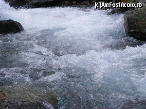 [P37]  -- <small>// FĂRĂ DESCRIERE</small> » foto by liviu49
 - 
<span class="allrVoted glyphicon glyphicon-heart hidden" id="av679131"></span>
<a class="m-l-10 hidden" id="sv679131" onclick="voting_Foto_DelVot(,679131,1790)" role="button">șterge vot <span class="glyphicon glyphicon-remove"></span></a>
<a id="v9679131" class=" c-red"  onclick="voting_Foto_SetVot(679131)" role="button"><span class="glyphicon glyphicon-heart-empty"></span> <b>LIKE</b> = Votează poza</a> <img class="hidden"  id="f679131W9" src="/imagini/loader.gif" border="0" /><span class="AjErrMes hidden" id="e679131ErM"></span>