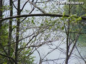 [P04] Alta oprire, alta priveliste cu lacul de acumulare.  » foto by liviu49
 - 
<span class="allrVoted glyphicon glyphicon-heart hidden" id="av679078"></span>
<a class="m-l-10 hidden" id="sv679078" onclick="voting_Foto_DelVot(,679078,1790)" role="button">șterge vot <span class="glyphicon glyphicon-remove"></span></a>
<a id="v9679078" class=" c-red"  onclick="voting_Foto_SetVot(679078)" role="button"><span class="glyphicon glyphicon-heart-empty"></span> <b>LIKE</b> = Votează poza</a> <img class="hidden"  id="f679078W9" src="/imagini/loader.gif" border="0" /><span class="AjErrMes hidden" id="e679078ErM"></span>