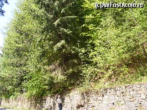 [P08] Prins in flagrant delict de admirare a naturii.  » foto by liviu49
 - 
<span class="allrVoted glyphicon glyphicon-heart hidden" id="av679082"></span>
<a class="m-l-10 hidden" id="sv679082" onclick="voting_Foto_DelVot(,679082,1790)" role="button">șterge vot <span class="glyphicon glyphicon-remove"></span></a>
<a id="v9679082" class=" c-red"  onclick="voting_Foto_SetVot(679082)" role="button"><span class="glyphicon glyphicon-heart-empty"></span> <b>LIKE</b> = Votează poza</a> <img class="hidden"  id="f679082W9" src="/imagini/loader.gif" border="0" /><span class="AjErrMes hidden" id="e679082ErM"></span>