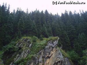 [P10] Un colt de stanca. Sau sa zicem un colt de rai?  » foto by vega06
 - 
<span class="allrVoted glyphicon glyphicon-heart hidden" id="av570948"></span>
<a class="m-l-10 hidden" id="sv570948" onclick="voting_Foto_DelVot(,570948,1790)" role="button">șterge vot <span class="glyphicon glyphicon-remove"></span></a>
<a id="v9570948" class=" c-red"  onclick="voting_Foto_SetVot(570948)" role="button"><span class="glyphicon glyphicon-heart-empty"></span> <b>LIKE</b> = Votează poza</a> <img class="hidden"  id="f570948W9" src="/imagini/loader.gif" border="0" /><span class="AjErrMes hidden" id="e570948ErM"></span>