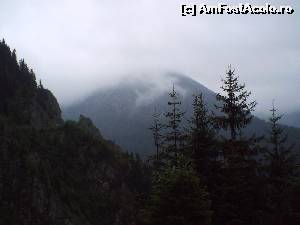 [P07] Ce vezi pe Transfagarasan, nu vezi in alte locuri din tara. Dupa mine Transalpina e mic copil la peisaje fata de ce-i aici.  » foto by vega06
 - 
<span class="allrVoted glyphicon glyphicon-heart hidden" id="av570945"></span>
<a class="m-l-10 hidden" id="sv570945" onclick="voting_Foto_DelVot(,570945,1790)" role="button">șterge vot <span class="glyphicon glyphicon-remove"></span></a>
<a id="v9570945" class=" c-red"  onclick="voting_Foto_SetVot(570945)" role="button"><span class="glyphicon glyphicon-heart-empty"></span> <b>LIKE</b> = Votează poza</a> <img class="hidden"  id="f570945W9" src="/imagini/loader.gif" border="0" /><span class="AjErrMes hidden" id="e570945ErM"></span>