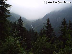 [P08] Si ne apropiem de Balea Lac si de tunel.  » foto by vega06
 - 
<span class="allrVoted glyphicon glyphicon-heart hidden" id="av570946"></span>
<a class="m-l-10 hidden" id="sv570946" onclick="voting_Foto_DelVot(,570946,1790)" role="button">șterge vot <span class="glyphicon glyphicon-remove"></span></a>
<a id="v9570946" class=" c-red"  onclick="voting_Foto_SetVot(570946)" role="button"><span class="glyphicon glyphicon-heart-empty"></span> <b>LIKE</b> = Votează poza</a> <img class="hidden"  id="f570946W9" src="/imagini/loader.gif" border="0" /><span class="AjErrMes hidden" id="e570946ErM"></span>