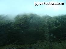 [P06] muntele cu o vegetatie densa de jepi » foto by geosler
 - 
<span class="allrVoted glyphicon glyphicon-heart hidden" id="av164809"></span>
<a class="m-l-10 hidden" id="sv164809" onclick="voting_Foto_DelVot(,164809,1790)" role="button">șterge vot <span class="glyphicon glyphicon-remove"></span></a>
<a id="v9164809" class=" c-red"  onclick="voting_Foto_SetVot(164809)" role="button"><span class="glyphicon glyphicon-heart-empty"></span> <b>LIKE</b> = Votează poza</a> <img class="hidden"  id="f164809W9" src="/imagini/loader.gif" border="0" /><span class="AjErrMes hidden" id="e164809ErM"></span>