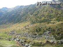 [P12] Atentie!, pe aici se rostogolesc pietre! » foto by dorgo
 - 
<span class="allrVoted glyphicon glyphicon-heart hidden" id="av165435"></span>
<a class="m-l-10 hidden" id="sv165435" onclick="voting_Foto_DelVot(,165435,1790)" role="button">șterge vot <span class="glyphicon glyphicon-remove"></span></a>
<a id="v9165435" class=" c-red"  onclick="voting_Foto_SetVot(165435)" role="button"><span class="glyphicon glyphicon-heart-empty"></span> <b>LIKE</b> = Votează poza</a> <img class="hidden"  id="f165435W9" src="/imagini/loader.gif" border="0" /><span class="AjErrMes hidden" id="e165435ErM"></span>