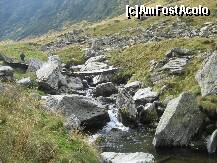 [P13] Dar ele nu ajung in sosea ci doar pana la un parau traversat de un pod de lemn » foto by dorgo
 - 
<span class="allrVoted glyphicon glyphicon-heart hidden" id="av165436"></span>
<a class="m-l-10 hidden" id="sv165436" onclick="voting_Foto_DelVot(,165436,1790)" role="button">șterge vot <span class="glyphicon glyphicon-remove"></span></a>
<a id="v9165436" class=" c-red"  onclick="voting_Foto_SetVot(165436)" role="button"><span class="glyphicon glyphicon-heart-empty"></span> <b>LIKE</b> = Votează poza</a> <img class="hidden"  id="f165436W9" src="/imagini/loader.gif" border="0" /><span class="AjErrMes hidden" id="e165436ErM"></span>