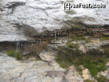 [P20] De pe versantii lacului Balea, o perdea de apa masoara trecerea timpului » foto by dorgo
 - 
<span class="allrVoted glyphicon glyphicon-heart hidden" id="av165443"></span>
<a class="m-l-10 hidden" id="sv165443" onclick="voting_Foto_DelVot(,165443,1790)" role="button">șterge vot <span class="glyphicon glyphicon-remove"></span></a>
<a id="v9165443" class=" c-red"  onclick="voting_Foto_SetVot(165443)" role="button"><span class="glyphicon glyphicon-heart-empty"></span> <b>LIKE</b> = Votează poza</a> <img class="hidden"  id="f165443W9" src="/imagini/loader.gif" border="0" /><span class="AjErrMes hidden" id="e165443ErM"></span>