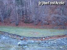 [P02] Pădurea desfrunzită și Argeșul molcom curgând de-a lungul Transfăgărășanului » foto by mariana.olaru
 - 
<span class="allrVoted glyphicon glyphicon-heart hidden" id="av162659"></span>
<a class="m-l-10 hidden" id="sv162659" onclick="voting_Foto_DelVot(,162659,1790)" role="button">șterge vot <span class="glyphicon glyphicon-remove"></span></a>
<a id="v9162659" class=" c-red"  onclick="voting_Foto_SetVot(162659)" role="button"><span class="glyphicon glyphicon-heart-empty"></span> <b>LIKE</b> = Votează poza</a> <img class="hidden"  id="f162659W9" src="/imagini/loader.gif" border="0" /><span class="AjErrMes hidden" id="e162659ErM"></span>