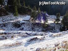 [P20] O altă cabană adăpost pentru păstori, lângă drumul Transfăgărăsanului » foto by mariana.olaru
 - 
<span class="allrVoted glyphicon glyphicon-heart hidden" id="av162706"></span>
<a class="m-l-10 hidden" id="sv162706" onclick="voting_Foto_DelVot(,162706,1790)" role="button">șterge vot <span class="glyphicon glyphicon-remove"></span></a>
<a id="v9162706" class=" c-red"  onclick="voting_Foto_SetVot(162706)" role="button"><span class="glyphicon glyphicon-heart-empty"></span> <b>LIKE</b> = Votează poza</a> <img class="hidden"  id="f162706W9" src="/imagini/loader.gif" border="0" /><span class="AjErrMes hidden" id="e162706ErM"></span>