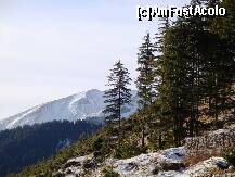 [P32] Pădurea ca o mireasă pe Transfăgărășan(nov.2009) » foto by mariana.olaru
 - 
<span class="allrVoted glyphicon glyphicon-heart hidden" id="av162718"></span>
<a class="m-l-10 hidden" id="sv162718" onclick="voting_Foto_DelVot(,162718,1790)" role="button">șterge vot <span class="glyphicon glyphicon-remove"></span></a>
<a id="v9162718" class=" c-red"  onclick="voting_Foto_SetVot(162718)" role="button"><span class="glyphicon glyphicon-heart-empty"></span> <b>LIKE</b> = Votează poza</a> <img class="hidden"  id="f162718W9" src="/imagini/loader.gif" border="0" /><span class="AjErrMes hidden" id="e162718ErM"></span>