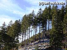 [P33] Oștirea Transfăgărășanului » foto by mariana.olaru
 - 
<span class="allrVoted glyphicon glyphicon-heart hidden" id="av162719"></span>
<a class="m-l-10 hidden" id="sv162719" onclick="voting_Foto_DelVot(,162719,1790)" role="button">șterge vot <span class="glyphicon glyphicon-remove"></span></a>
<a id="v9162719" class=" c-red"  onclick="voting_Foto_SetVot(162719)" role="button"><span class="glyphicon glyphicon-heart-empty"></span> <b>LIKE</b> = Votează poza</a> <img class="hidden"  id="f162719W9" src="/imagini/loader.gif" border="0" /><span class="AjErrMes hidden" id="e162719ErM"></span>