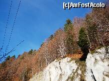 [P39] O zi perfectă de toamnă târzie pe Transfăgărășan » foto by mariana.olaru
 - 
<span class="allrVoted glyphicon glyphicon-heart hidden" id="av162725"></span>
<a class="m-l-10 hidden" id="sv162725" onclick="voting_Foto_DelVot(,162725,1790)" role="button">șterge vot <span class="glyphicon glyphicon-remove"></span></a>
<a id="v9162725" class=" c-red"  onclick="voting_Foto_SetVot(162725)" role="button"><span class="glyphicon glyphicon-heart-empty"></span> <b>LIKE</b> = Votează poza</a> <img class="hidden"  id="f162725W9" src="/imagini/loader.gif" border="0" /><span class="AjErrMes hidden" id="e162725ErM"></span>