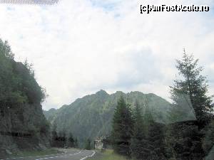 [P08] Drumul inca este comod » foto by Michi
 - 
<span class="allrVoted glyphicon glyphicon-heart hidden" id="av544842"></span>
<a class="m-l-10 hidden" id="sv544842" onclick="voting_Foto_DelVot(,544842,1790)" role="button">șterge vot <span class="glyphicon glyphicon-remove"></span></a>
<a id="v9544842" class=" c-red"  onclick="voting_Foto_SetVot(544842)" role="button"><span class="glyphicon glyphicon-heart-empty"></span> <b>LIKE</b> = Votează poza</a> <img class="hidden"  id="f544842W9" src="/imagini/loader.gif" border="0" /><span class="AjErrMes hidden" id="e544842ErM"></span>