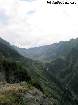 [P11] De pe marginea soselei » foto by Michi
 - 
<span class="allrVoted glyphicon glyphicon-heart hidden" id="av544976"></span>
<a class="m-l-10 hidden" id="sv544976" onclick="voting_Foto_DelVot(,544976,1790)" role="button">șterge vot <span class="glyphicon glyphicon-remove"></span></a>
<a id="v9544976" class=" c-red"  onclick="voting_Foto_SetVot(544976)" role="button"><span class="glyphicon glyphicon-heart-empty"></span> <b>LIKE</b> = Votează poza</a> <img class="hidden"  id="f544976W9" src="/imagini/loader.gif" border="0" /><span class="AjErrMes hidden" id="e544976ErM"></span>