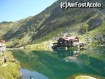 [P02]  -- <small>// FĂRĂ DESCRIERE</small> » foto by motanu_rau*
 - 
<span class="allrVoted glyphicon glyphicon-heart hidden" id="av131941"></span>
<a class="m-l-10 hidden" id="sv131941" onclick="voting_Foto_DelVot(,131941,1790)" role="button">șterge vot <span class="glyphicon glyphicon-remove"></span></a>
<a id="v9131941" class=" c-red"  onclick="voting_Foto_SetVot(131941)" role="button"><span class="glyphicon glyphicon-heart-empty"></span> <b>LIKE</b> = Votează poza</a> <img class="hidden"  id="f131941W9" src="/imagini/loader.gif" border="0" /><span class="AjErrMes hidden" id="e131941ErM"></span>