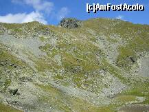 [P06] Din valea Capra - grohotisuri si sus-sus traseul spre varful Vanatoarea lui Buteanu » foto by motanu_rau*
 - 
<span class="allrVoted glyphicon glyphicon-heart hidden" id="av131945"></span>
<a class="m-l-10 hidden" id="sv131945" onclick="voting_Foto_DelVot(,131945,1790)" role="button">șterge vot <span class="glyphicon glyphicon-remove"></span></a>
<a id="v9131945" class=" c-red"  onclick="voting_Foto_SetVot(131945)" role="button"><span class="glyphicon glyphicon-heart-empty"></span> <b>LIKE</b> = Votează poza</a> <img class="hidden"  id="f131945W9" src="/imagini/loader.gif" border="0" /><span class="AjErrMes hidden" id="e131945ErM"></span>