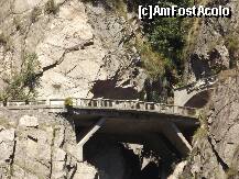 [P01]  -- <small>// FĂRĂ DESCRIERE</small> » foto by Andrew22*
 - 
<span class="allrVoted glyphicon glyphicon-heart hidden" id="av260095"></span>
<a class="m-l-10 hidden" id="sv260095" onclick="voting_Foto_DelVot(,260095,1790)" role="button">șterge vot <span class="glyphicon glyphicon-remove"></span></a>
<a id="v9260095" class=" c-red"  onclick="voting_Foto_SetVot(260095)" role="button"><span class="glyphicon glyphicon-heart-empty"></span> <b>LIKE</b> = Votează poza</a> <img class="hidden"  id="f260095W9" src="/imagini/loader.gif" border="0" /><span class="AjErrMes hidden" id="e260095ErM"></span>