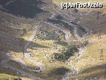 [P14] Motivul principal pentru am facut deplasarea » foto by Andrew22*
 - 
<span class="allrVoted glyphicon glyphicon-heart hidden" id="av260108"></span>
<a class="m-l-10 hidden" id="sv260108" onclick="voting_Foto_DelVot(,260108,1790)" role="button">șterge vot <span class="glyphicon glyphicon-remove"></span></a>
<a id="v9260108" class=" c-red"  onclick="voting_Foto_SetVot(260108)" role="button"><span class="glyphicon glyphicon-heart-empty"></span> <b>LIKE</b> = Votează poza</a> <img class="hidden"  id="f260108W9" src="/imagini/loader.gif" border="0" /><span class="AjErrMes hidden" id="e260108ErM"></span>