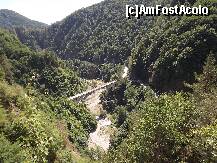 [P02]  -- <small>// FĂRĂ DESCRIERE</small> » foto by Andrew22*
 - 
<span class="allrVoted glyphicon glyphicon-heart hidden" id="av260096"></span>
<a class="m-l-10 hidden" id="sv260096" onclick="voting_Foto_DelVot(,260096,1790)" role="button">șterge vot <span class="glyphicon glyphicon-remove"></span></a>
<a id="v9260096" class=" c-red"  onclick="voting_Foto_SetVot(260096)" role="button"><span class="glyphicon glyphicon-heart-empty"></span> <b>LIKE</b> = Votează poza</a> <img class="hidden"  id="f260096W9" src="/imagini/loader.gif" border="0" /><span class="AjErrMes hidden" id="e260096ErM"></span>