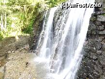 [P08]  -- <small>// FĂRĂ DESCRIERE</small> » foto by Andrew22*
 - 
<span class="allrVoted glyphicon glyphicon-heart hidden" id="av260102"></span>
<a class="m-l-10 hidden" id="sv260102" onclick="voting_Foto_DelVot(,260102,1790)" role="button">șterge vot <span class="glyphicon glyphicon-remove"></span></a>
<a id="v9260102" class=" c-red"  onclick="voting_Foto_SetVot(260102)" role="button"><span class="glyphicon glyphicon-heart-empty"></span> <b>LIKE</b> = Votează poza</a> <img class="hidden"  id="f260102W9" src="/imagini/loader.gif" border="0" /><span class="AjErrMes hidden" id="e260102ErM"></span>