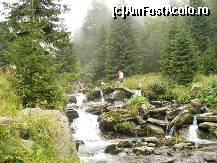 [P23] Transfagarasan - in drumul spre Cascada Balea trebuie sa trecem si peste un parau » foto by ascent
 - 
<span class="allrVoted glyphicon glyphicon-heart hidden" id="av157412"></span>
<a class="m-l-10 hidden" id="sv157412" onclick="voting_Foto_DelVot(,157412,1790)" role="button">șterge vot <span class="glyphicon glyphicon-remove"></span></a>
<a id="v9157412" class=" c-red"  onclick="voting_Foto_SetVot(157412)" role="button"><span class="glyphicon glyphicon-heart-empty"></span> <b>LIKE</b> = Votează poza</a> <img class="hidden"  id="f157412W9" src="/imagini/loader.gif" border="0" /><span class="AjErrMes hidden" id="e157412ErM"></span>