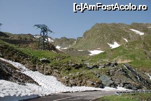 [P06] Incursiune pe Transfăgărășan - zăpadă de iunie.  » foto by tata123 🔱
 - 
<span class="allrVoted glyphicon glyphicon-heart hidden" id="av702248"></span>
<a class="m-l-10 hidden" id="sv702248" onclick="voting_Foto_DelVot(,702248,1790)" role="button">șterge vot <span class="glyphicon glyphicon-remove"></span></a>
<a id="v9702248" class=" c-red"  onclick="voting_Foto_SetVot(702248)" role="button"><span class="glyphicon glyphicon-heart-empty"></span> <b>LIKE</b> = Votează poza</a> <img class="hidden"  id="f702248W9" src="/imagini/loader.gif" border="0" /><span class="AjErrMes hidden" id="e702248ErM"></span>