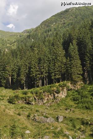 [P04]  -- <small>// FĂRĂ DESCRIERE</small> » foto by raly
 - 
<span class="allrVoted glyphicon glyphicon-heart hidden" id="av667096"></span>
<a class="m-l-10 hidden" id="sv667096" onclick="voting_Foto_DelVot(,667096,1790)" role="button">șterge vot <span class="glyphicon glyphicon-remove"></span></a>
<a id="v9667096" class=" c-red"  onclick="voting_Foto_SetVot(667096)" role="button"><span class="glyphicon glyphicon-heart-empty"></span> <b>LIKE</b> = Votează poza</a> <img class="hidden"  id="f667096W9" src="/imagini/loader.gif" border="0" /><span class="AjErrMes hidden" id="e667096ErM"></span>