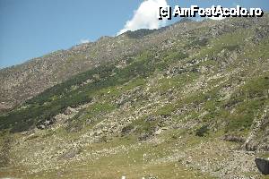 [P03] ce ascund aceste meleaguri?  » foto by danette*
 - 
<span class="allrVoted glyphicon glyphicon-heart hidden" id="av455100"></span>
<a class="m-l-10 hidden" id="sv455100" onclick="voting_Foto_DelVot(,455100,1790)" role="button">șterge vot <span class="glyphicon glyphicon-remove"></span></a>
<a id="v9455100" class=" c-red"  onclick="voting_Foto_SetVot(455100)" role="button"><span class="glyphicon glyphicon-heart-empty"></span> <b>LIKE</b> = Votează poza</a> <img class="hidden"  id="f455100W9" src="/imagini/loader.gif" border="0" /><span class="AjErrMes hidden" id="e455100ErM"></span>