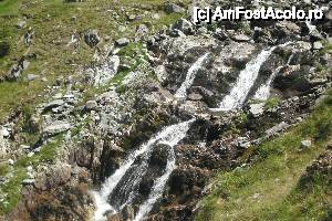 [P05] de unde a izvorat acest cristal de apa?  » foto by danette*
 - 
<span class="allrVoted glyphicon glyphicon-heart hidden" id="av455108"></span>
<a class="m-l-10 hidden" id="sv455108" onclick="voting_Foto_DelVot(,455108,1790)" role="button">șterge vot <span class="glyphicon glyphicon-remove"></span></a>
<a id="v9455108" class=" c-red"  onclick="voting_Foto_SetVot(455108)" role="button"><span class="glyphicon glyphicon-heart-empty"></span> <b>LIKE</b> = Votează poza</a> <img class="hidden"  id="f455108W9" src="/imagini/loader.gif" border="0" /><span class="AjErrMes hidden" id="e455108ErM"></span>