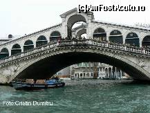 [P25] Ponte di Rialto » foto by cristinadumitru*
 - 
<span class="allrVoted glyphicon glyphicon-heart hidden" id="av21701"></span>
<a class="m-l-10 hidden" id="sv21701" onclick="voting_Foto_DelVot(,21701,1793)" role="button">șterge vot <span class="glyphicon glyphicon-remove"></span></a>
<a id="v921701" class=" c-red"  onclick="voting_Foto_SetVot(21701)" role="button"><span class="glyphicon glyphicon-heart-empty"></span> <b>LIKE</b> = Votează poza</a> <img class="hidden"  id="f21701W9" src="/imagini/loader.gif" border="0" /><span class="AjErrMes hidden" id="e21701ErM"></span>