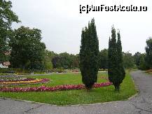 [P2x] Parcul Botanic » foto by Nicu
 - 
<span class="allrVoted glyphicon glyphicon-heart hidden" id="av25238"></span>
<a class="m-l-10 hidden" id="sv25238" onclick="voting_Foto_DelVot(,25238,1801)" role="button">șterge vot <span class="glyphicon glyphicon-remove"></span></a>
<a id="v925238" class=" c-red"  onclick="voting_Foto_SetVot(25238)" role="button"><span class="glyphicon glyphicon-heart-empty"></span> <b>LIKE</b> = Votează poza</a> <img class="hidden"  id="f25238W9" src="/imagini/loader.gif" border="0" /><span class="AjErrMes hidden" id="e25238ErM"></span>