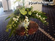 [P05] Alpin Hotel & Aparthotel, Poiana Brașov - decor floral în holul recepției » foto by mariana.olaru
 - 
<span class="allrVoted glyphicon glyphicon-heart hidden" id="av301517"></span>
<a class="m-l-10 hidden" id="sv301517" onclick="voting_Foto_DelVot(,301517,1821)" role="button">șterge vot <span class="glyphicon glyphicon-remove"></span></a>
<a id="v9301517" class=" c-red"  onclick="voting_Foto_SetVot(301517)" role="button"><span class="glyphicon glyphicon-heart-empty"></span> <b>LIKE</b> = Votează poza</a> <img class="hidden"  id="f301517W9" src="/imagini/loader.gif" border="0" /><span class="AjErrMes hidden" id="e301517ErM"></span>