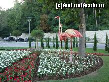 [P03] In fata la Flamingo Grand Hotel din Albena » foto by RobertCodescu
 - 
<span class="allrVoted glyphicon glyphicon-heart hidden" id="av193783"></span>
<a class="m-l-10 hidden" id="sv193783" onclick="voting_Foto_DelVot(,193783,1831)" role="button">șterge vot <span class="glyphicon glyphicon-remove"></span></a>
<a id="v9193783" class=" c-red"  onclick="voting_Foto_SetVot(193783)" role="button"><span class="glyphicon glyphicon-heart-empty"></span> <b>LIKE</b> = Votează poza</a> <img class="hidden"  id="f193783W9" src="/imagini/loader.gif" border="0" /><span class="AjErrMes hidden" id="e193783ErM"></span>