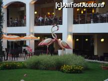 [P08] Doua pasari flamingo chiar aici la ... Flamingo Grand Hotel din Albena » foto by RobertCodescu
 - 
<span class="allrVoted glyphicon glyphicon-heart hidden" id="av193788"></span>
<a class="m-l-10 hidden" id="sv193788" onclick="voting_Foto_DelVot(,193788,1831)" role="button">șterge vot <span class="glyphicon glyphicon-remove"></span></a>
<a id="v9193788" class=" c-red"  onclick="voting_Foto_SetVot(193788)" role="button"><span class="glyphicon glyphicon-heart-empty"></span> <b>LIKE</b> = Votează poza</a> <img class="hidden"  id="f193788W9" src="/imagini/loader.gif" border="0" /><span class="AjErrMes hidden" id="e193788ErM"></span>
