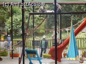 [P27] Zoo Varna » foto by myk007
 - 
<span class="allrVoted glyphicon glyphicon-heart hidden" id="av781184"></span>
<a class="m-l-10 hidden" id="sv781184" onclick="voting_Foto_DelVot(,781184,1831)" role="button">șterge vot <span class="glyphicon glyphicon-remove"></span></a>
<a id="v9781184" class=" c-red"  onclick="voting_Foto_SetVot(781184)" role="button"><span class="glyphicon glyphicon-heart-empty"></span> <b>LIKE</b> = Votează poza</a> <img class="hidden"  id="f781184W9" src="/imagini/loader.gif" border="0" /><span class="AjErrMes hidden" id="e781184ErM"></span>