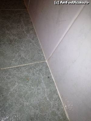 [P11]  -- <small>// FĂRĂ DESCRIERE</small> » foto by sss111
 - 
<span class="allrVoted glyphicon glyphicon-heart hidden" id="av524915"></span>
<a class="m-l-10 hidden" id="sv524915" onclick="voting_Foto_DelVot(,524915,1850)" role="button">șterge vot <span class="glyphicon glyphicon-remove"></span></a>
<a id="v9524915" class=" c-red"  onclick="voting_Foto_SetVot(524915)" role="button"><span class="glyphicon glyphicon-heart-empty"></span> <b>LIKE</b> = Votează poza</a> <img class="hidden"  id="f524915W9" src="/imagini/loader.gif" border="0" /><span class="AjErrMes hidden" id="e524915ErM"></span>