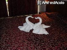 [P07]  -- <small>// FĂRĂ DESCRIERE</small> » foto by danyepz
 - 
<span class="allrVoted glyphicon glyphicon-heart hidden" id="av74655"></span>
<a class="m-l-10 hidden" id="sv74655" onclick="voting_Foto_DelVot(,74655,1867)" role="button">șterge vot <span class="glyphicon glyphicon-remove"></span></a>
<a id="v974655" class=" c-red"  onclick="voting_Foto_SetVot(74655)" role="button"><span class="glyphicon glyphicon-heart-empty"></span> <b>LIKE</b> = Votează poza</a> <img class="hidden"  id="f74655W9" src="/imagini/loader.gif" border="0" /><span class="AjErrMes hidden" id="e74655ErM"></span>