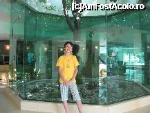 [P03] magnolia ...talismanul hotelului » foto by gioko
 - 
<span class="allrVoted glyphicon glyphicon-heart hidden" id="av259688"></span>
<a class="m-l-10 hidden" id="sv259688" onclick="voting_Foto_DelVot(,259688,1873)" role="button">șterge vot <span class="glyphicon glyphicon-remove"></span></a>
<a id="v9259688" class=" c-red"  onclick="voting_Foto_SetVot(259688)" role="button"><span class="glyphicon glyphicon-heart-empty"></span> <b>LIKE</b> = Votează poza</a> <img class="hidden"  id="f259688W9" src="/imagini/loader.gif" border="0" /><span class="AjErrMes hidden" id="e259688ErM"></span>