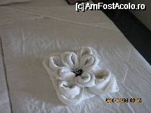 [P12]  -- <small>// FĂRĂ DESCRIERE</small> » foto by Anduise
 - 
<span class="allrVoted glyphicon glyphicon-heart hidden" id="av62619"></span>
<a class="m-l-10 hidden" id="sv62619" onclick="voting_Foto_DelVot(,62619,1941)" role="button">șterge vot <span class="glyphicon glyphicon-remove"></span></a>
<a id="v962619" class=" c-red"  onclick="voting_Foto_SetVot(62619)" role="button"><span class="glyphicon glyphicon-heart-empty"></span> <b>LIKE</b> = Votează poza</a> <img class="hidden"  id="f62619W9" src="/imagini/loader.gif" border="0" /><span class="AjErrMes hidden" id="e62619ErM"></span>