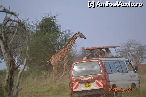 [P15]  -- <small>// FĂRĂ DESCRIERE</small> » foto by Kyandra
 - 
<span class="allrVoted glyphicon glyphicon-heart hidden" id="av601511"></span>
<a class="m-l-10 hidden" id="sv601511" onclick="voting_Foto_DelVot(,601511,2009)" role="button">șterge vot <span class="glyphicon glyphicon-remove"></span></a>
<a id="v9601511" class=" c-red"  onclick="voting_Foto_SetVot(601511)" role="button"><span class="glyphicon glyphicon-heart-empty"></span> <b>LIKE</b> = Votează poza</a> <img class="hidden"  id="f601511W9" src="/imagini/loader.gif" border="0" /><span class="AjErrMes hidden" id="e601511ErM"></span>