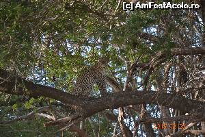 [P28]  -- <small>// FĂRĂ DESCRIERE</small> » foto by Kyandra
 - 
<span class="allrVoted glyphicon glyphicon-heart hidden" id="av601524"></span>
<a class="m-l-10 hidden" id="sv601524" onclick="voting_Foto_DelVot(,601524,2009)" role="button">șterge vot <span class="glyphicon glyphicon-remove"></span></a>
<a id="v9601524" class=" c-red"  onclick="voting_Foto_SetVot(601524)" role="button"><span class="glyphicon glyphicon-heart-empty"></span> <b>LIKE</b> = Votează poza</a> <img class="hidden"  id="f601524W9" src="/imagini/loader.gif" border="0" /><span class="AjErrMes hidden" id="e601524ErM"></span>