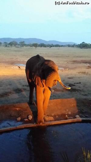 [P31]  -- <small>// FĂRĂ DESCRIERE</small> » foto by Kyandra
 - 
<span class="allrVoted glyphicon glyphicon-heart hidden" id="av601527"></span>
<a class="m-l-10 hidden" id="sv601527" onclick="voting_Foto_DelVot(,601527,2009)" role="button">șterge vot <span class="glyphicon glyphicon-remove"></span></a>
<a id="v9601527" class=" c-red"  onclick="voting_Foto_SetVot(601527)" role="button"><span class="glyphicon glyphicon-heart-empty"></span> <b>LIKE</b> = Votează poza</a> <img class="hidden"  id="f601527W9" src="/imagini/loader.gif" border="0" /><span class="AjErrMes hidden" id="e601527ErM"></span>