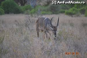 [P09]  -- <small>// FĂRĂ DESCRIERE</small> » foto by Kyandra
 - 
<span class="allrVoted glyphicon glyphicon-heart hidden" id="av601505"></span>
<a class="m-l-10 hidden" id="sv601505" onclick="voting_Foto_DelVot(,601505,2009)" role="button">șterge vot <span class="glyphicon glyphicon-remove"></span></a>
<a id="v9601505" class=" c-red"  onclick="voting_Foto_SetVot(601505)" role="button"><span class="glyphicon glyphicon-heart-empty"></span> <b>LIKE</b> = Votează poza</a> <img class="hidden"  id="f601505W9" src="/imagini/loader.gif" border="0" /><span class="AjErrMes hidden" id="e601505ErM"></span>