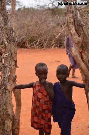 [P49]  -- <small>// FĂRĂ DESCRIERE</small> » foto by cristina65
 - 
<span class="allrVoted glyphicon glyphicon-heart hidden" id="av591023"></span>
<a class="m-l-10 hidden" id="sv591023" onclick="voting_Foto_DelVot(,591023,2009)" role="button">șterge vot <span class="glyphicon glyphicon-remove"></span></a>
<a id="v9591023" class=" c-red"  onclick="voting_Foto_SetVot(591023)" role="button"><span class="glyphicon glyphicon-heart-empty"></span> <b>LIKE</b> = Votează poza</a> <img class="hidden"  id="f591023W9" src="/imagini/loader.gif" border="0" /><span class="AjErrMes hidden" id="e591023ErM"></span>